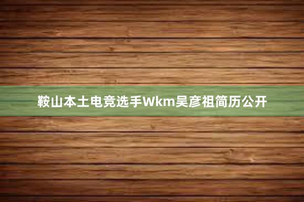 鞍山本土电竞选手Wkm吴彦祖简历公开